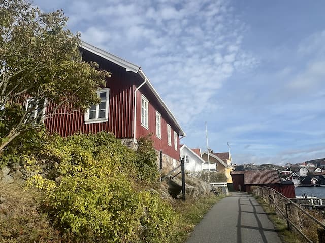 Renovering av skolan under våren 2026